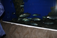 IMG_1397.JPG
