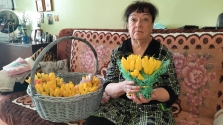 IMG-0256221638beb7f882acc259c3e5264e-V