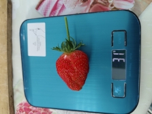изображение_viber_2024-05-21_08-52-02-738