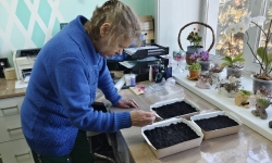 Гарденотерапия