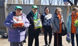 Поездка в кошачий приют