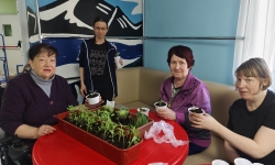 Гарденотерапия