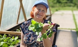 Дела огородные