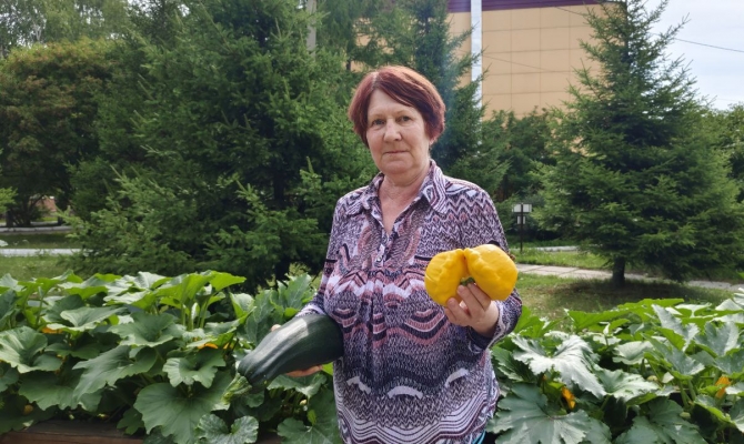 Дела огородные: сбор урожая  и домашние заготовки