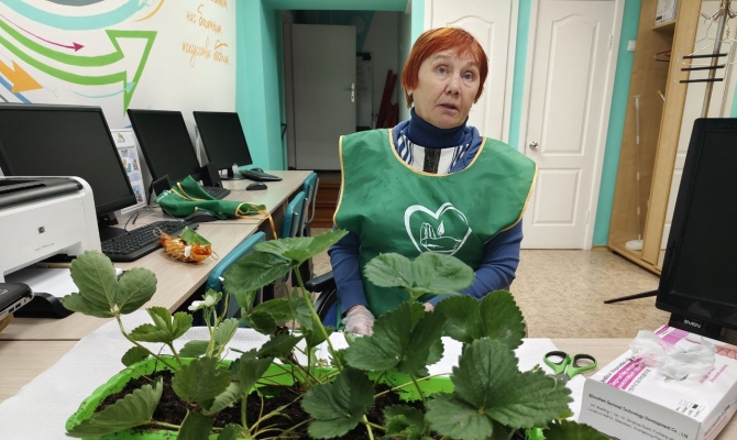 Огород на окошке