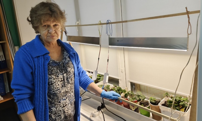 Гарденотерапия